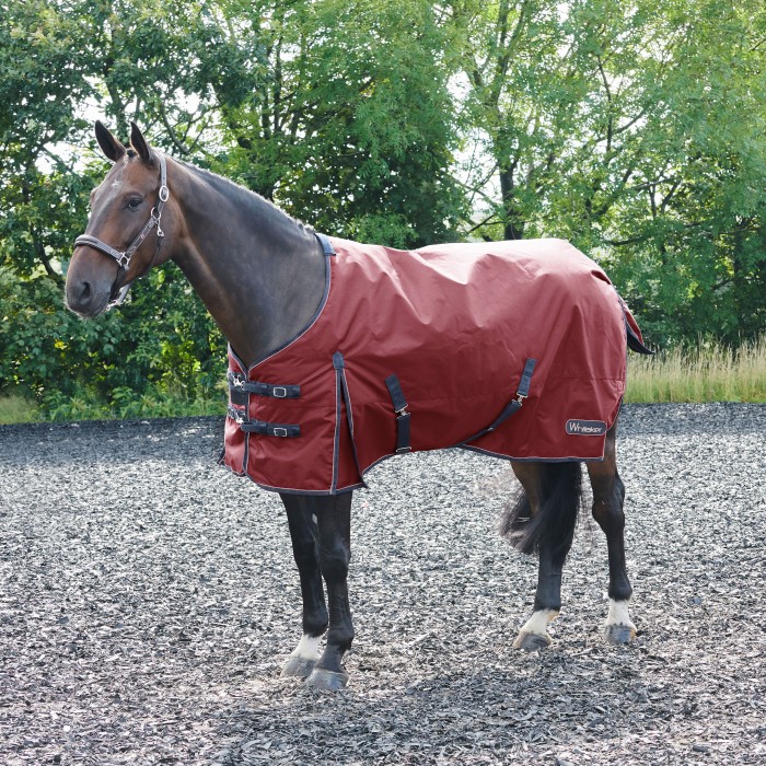 R280 Lupin 100g Turnout Rug in Ruby - Sizes 4'9-7'0